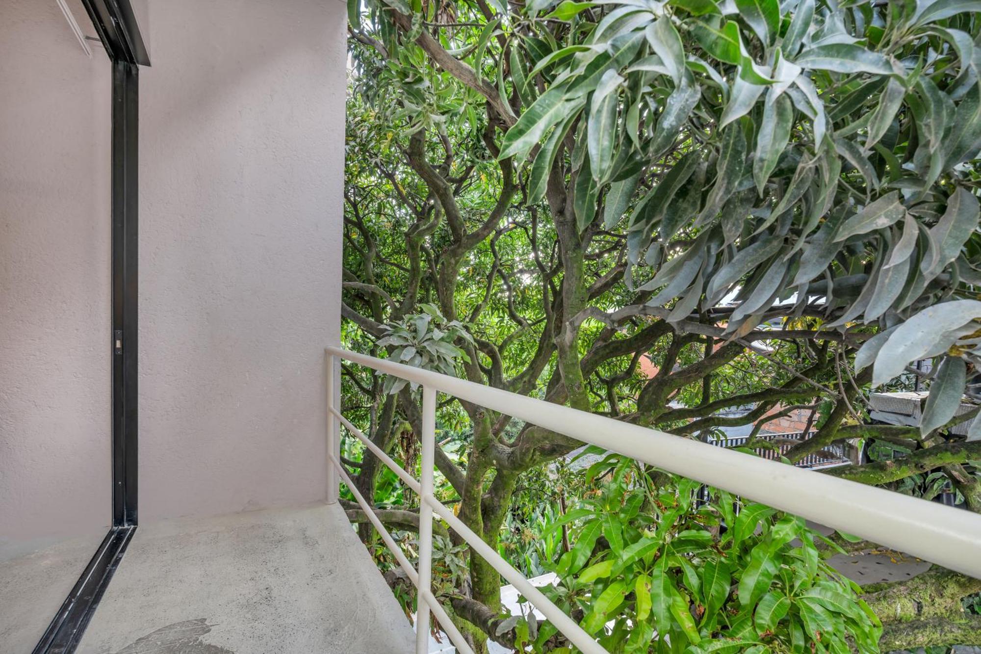 Botanica Casa Hotel Manila By Housy Host Medellín Esterno foto